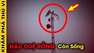 🔥 Tiết Lộ 10 Đứa Con Của Rồng Thần Vẫn Còn Tồn Tại Cho Tới Ngày Nay Gây Chấn Động Thế Giới | KPTV