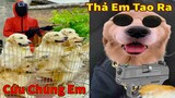 Thú Cưng TV | Trứng Vàng và Trứng Bạc #31 | Chó Golden Gâu Đần thông minh vui nhộn | Pets smart dog