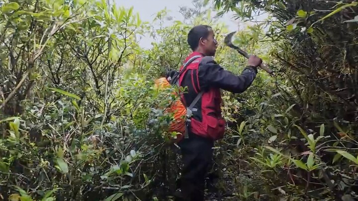 [Góc nhìn thứ nhất] 14 km đoạn đường chưa phát triển ở núi Ailao