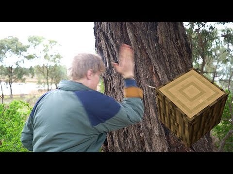 If Minecraft was Real Life