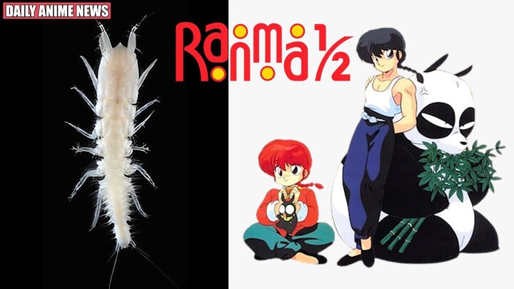 New Species Named After Ranma from Ranma 1/2 | Daily Anime News