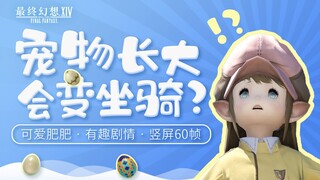 什么！宠物长大会变坐骑？| 可爱肥肥 · 有趣剧情 · 竖屏60帧 【FF14/GMV】