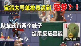 【猫和老鼠手游】宝鸽大号单排遇到猫梦？队友结尾反应爆笑高能！