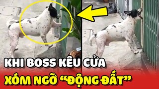 Khi Boss ĐI CHƠI về trễ, KÊU CỬA khiến cả xóm tưởng ĐỘNG ĐẤT 😂 | Yêu Lu