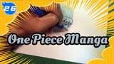 Compilation of One Piece Manga | Video Repost_26