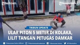 Detik detik Damkar Kolaka Evakuasi Ular Piton Masuk ke Kandang Ayam, Tangan Petugas Sempat Dililit