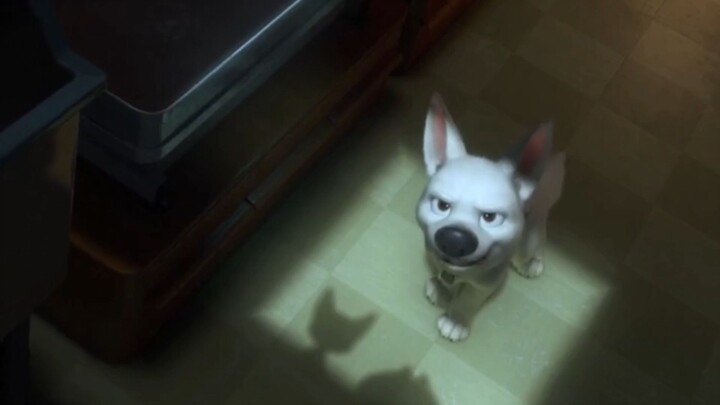 Octubre 2023 - Bolt