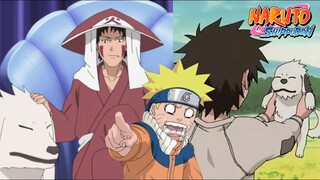 Naruto se Impresiona por el Crecimiento de Akamaru/ Español latino