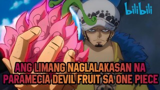 Ang limang naglalakasan na PARAMECIA DEVIL FRUIT sa one piece