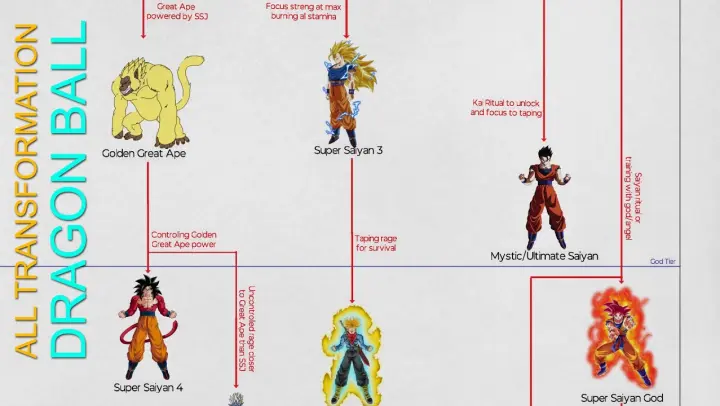 All Saiyan's Transformations in Dragon Ball - DBZ  And DB Super