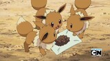 POKEMON BLACK AND WHITE 135 ENG DUBBED