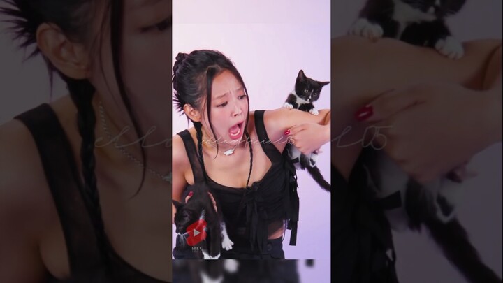 Jennie and her kitten problems 😅😂 #jennie #jenniekim #blackpink