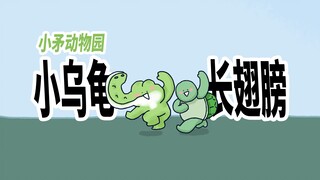 【小矛动物园】小乌龟今天长翅膀了。