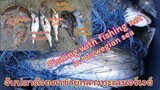 ลงตาข่ายจับปลากลางทะเล นอร์เวย์ | Fishing with fishing net in Norway | 17.04.2019