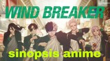 review anime wind breaker genre's school, fighter, action