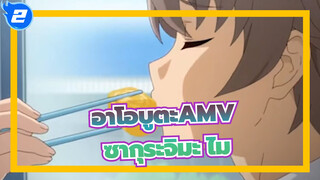 ชีวิตไม่ใช่เพียงเพื่อซากุระจิมะ ไม?|อาโอบูตะ AMV_2