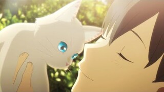 Review Anime Hay: Khi Muốn Khóc, Tôi Đeo Mặt Nạ Mèo