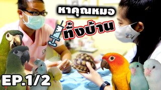 พาเหล่าสัตว์เลี้ยง หาคุณหมอ(วิธีดูแลเต่าซูคาต้า)EP.1/2