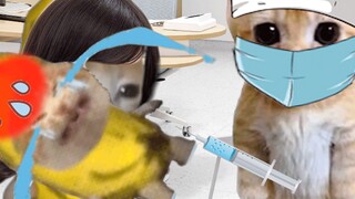 Banana Cat is afraid of injections