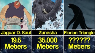 The Biggest One Piece Characters