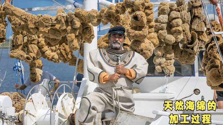 Unveiling the secrets of the natural sponge processing factory, the real-life SpongeBob SquarePants 