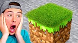 Realistic Blocks in Minecraft...
