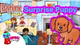 New Puppy Surprise | Play Home Plus