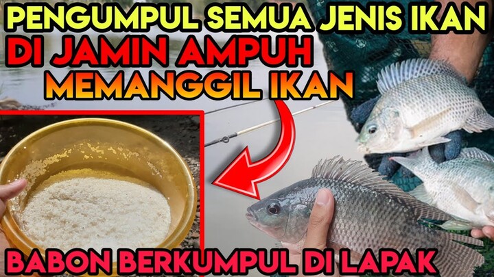 Trik PEMANCING Memanggil Ikan Agar Berkumpul Di lapak (UMPAN BOM PEMANGGIL SEMUA JENIS IKAN)
