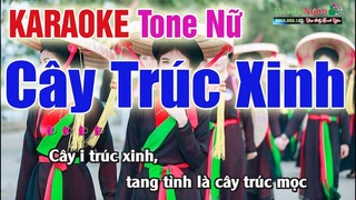 Cây Trúc Xinh Karaoke 2020 Tone Nữ - Nhạc Sống Thanh Ngân