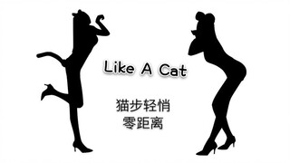 【轩哥】史上最近竖屏 极度舒适谁有我离你近Like A Cat AOA猫步轻悄性感韩舞翻跳