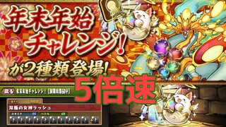 【パズドラ】双極の女神ラッシュ 5倍速【年末年始チャレンジ】