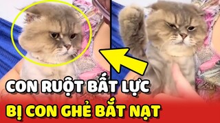 Hoàng Thượng BẤT LỰC chỉ dám núp sau mẹ vì bị CON GHẺ BẮT NẠT 😂 | Yêu Lu