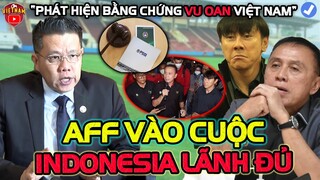 Chủ Tịch AFF Phát Hiện Bằng Chứng Indonesia Vu Oan U19 Việt Nam, Indo Lãnh Đủ