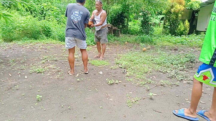 Pangalawang panalo ng Bulik ko