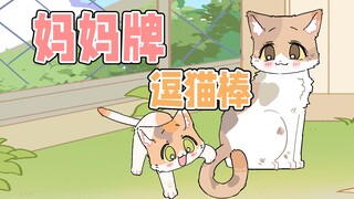 猫妈妈：我是流浪猫，但我的孩子不是…