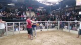Champion! March 9 2hits ulutan indang cockpit arena 2nd fight