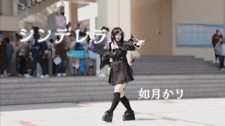 秋招快闪跳了辛德瑞拉/シンデレラ