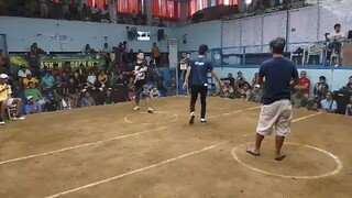 WIN  tayo 01/29/25 @SMCA