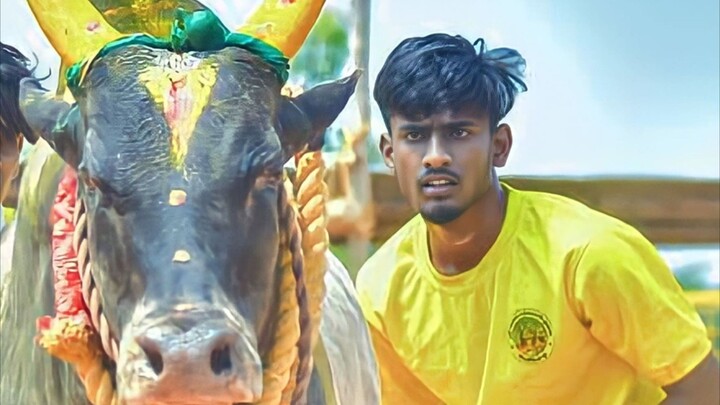 #jallikattu tamil💯💥💝