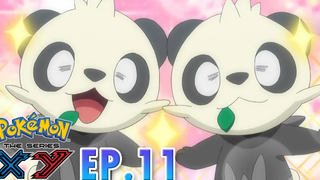 Pokémon the Series XY EP11 การแสวงหาในป่าไผ่! Pokémon Thailand Official