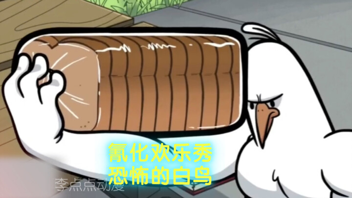 氰化欢乐秀：健身的白鸟竟然跟人抢东西吃