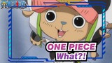ONE PIECE
What?!