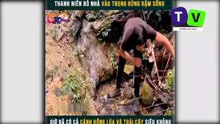 Cuộc sống trong rừng  p1