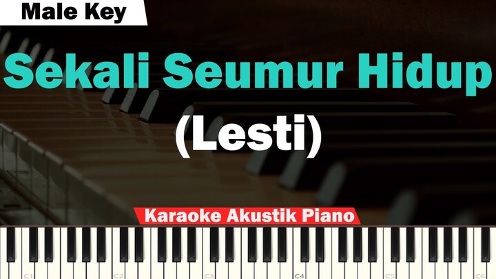 Lesti - Sekali Seumur Hidup Karaoke Piano MALE KEY