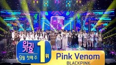 "PINK VENOM"第四个一位｜本周人气歌谣一位，恭喜BLACKPINK