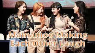 Mamamoo Making Each Other Laugh