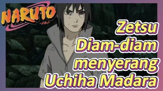 Zetsu Diam-diam menyerang Uchiha Madara