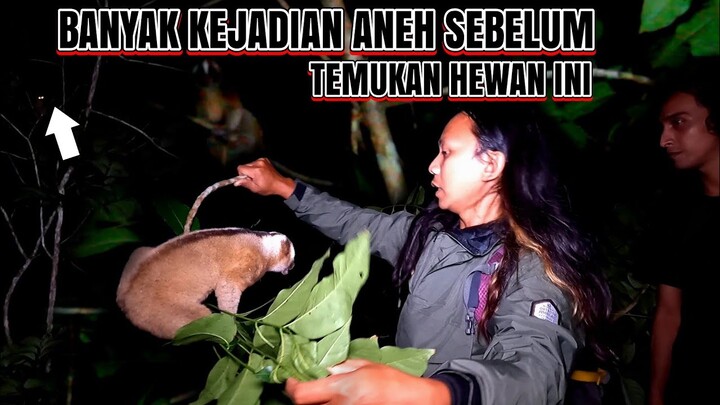 DEDE INOEN & TIM KOCAR KACIR KEMUNCULAN HEWAN HEWAN LANGKA DIBARENGI DEDEMIT HUTAN