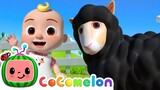 Baa Baa Black Sheep! CoComelon Animal Time Animals for Kids