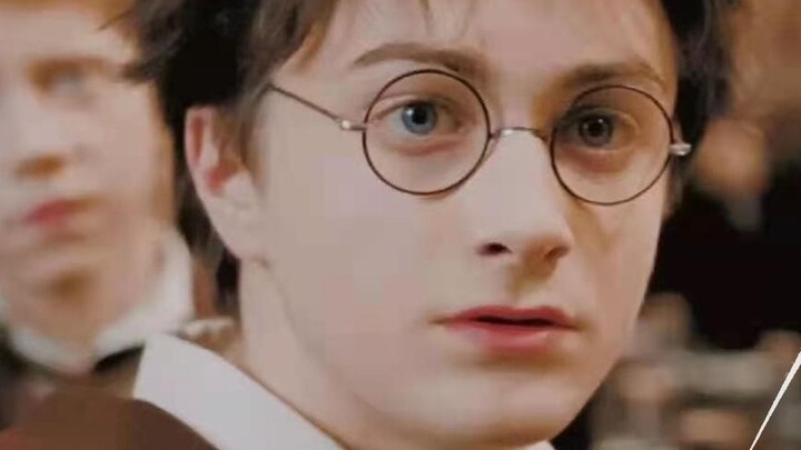 [Harry Potter|Pertemuan Pertama|Potret Grup HP] Bekas luka itu tidak sakit selama 19 tahun, dan semu